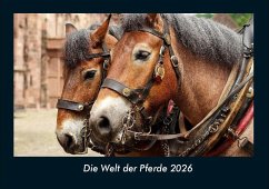 Cover Die Welt der Pferde 2026 Fotokalender DIN A4