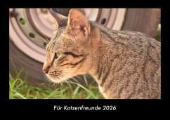 Cover Für Katzenfreunde 2026 Fotokalender DIN A3