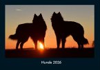 Hunde 2026 Fotokalender DIN A4