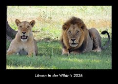 Cover Löwen in der Wildnis 2026 Fotokalender DIN A3
