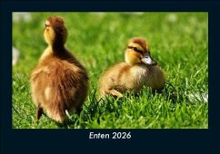 Enten 2026 Fotokalender DIN A5 Cover Enten 2026 Fotokalender DIN A5
