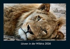 Cover Löwen in der Wildnis 2026 Fotokalender DIN A4