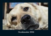 Hundezauber 2026 Fotokalender DIN A4