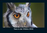 Tiere in der Wildnis 2026 Fotokalender DIN A5