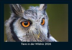 Cover Tiere in der Wildnis 2026 Fotokalender DIN A5