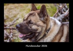 Cover Hundezauber 2026 Fotokalender DIN A3