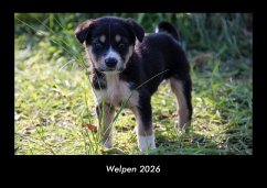Welpen 2026 Fotokalender DIN A3 Cover Welpen 2026 Fotokalender DIN A3