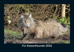 Cover Für Katzenfreunde 2026 Fotokalender DIN A5