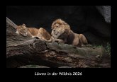 Löwen in der Wildnis 2026 Fotokalender DIN A3