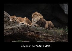 Cover Löwen in der Wildnis 2026 Fotokalender DIN A3
