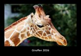 Giraffen 2026 Fotokalender DIN A3