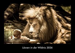 Cover Löwen in der Wildnis 2026 Fotokalender DIN A3