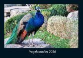Vogelparadies 2026 Fotokalender DIN A4