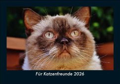 Cover Für Katzenfreunde 2026 Fotokalender DIN A5