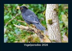 Cover Vogelparadies 2026 Fotokalender DIN A5