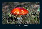 Pilzkalender 2026 Fotokalender DIN A4
