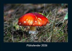 Cover Pilzkalender 2026 Fotokalender DIN A4