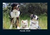 Hunde 2026 Fotokalender DIN A5