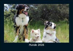 Cover Hunde 2026 Fotokalender DIN A5