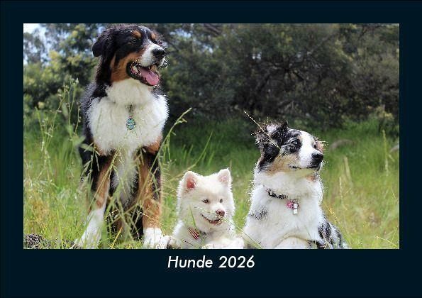 Hunde 2026 Fotokalender DIN A5
