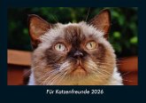 Für Katzenfreunde 2026 Fotokalender DIN A4