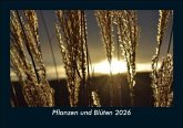 Pflanzen und Blüten 2026 Fotokalender DIN A5