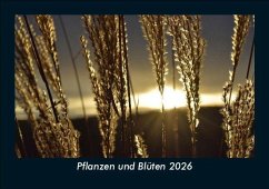 Cover Pflanzen und Blüten 2026 Fotokalender DIN A5