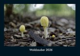 Waldzauber 2026 Fotokalender DIN A4