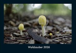 Cover Waldzauber 2026 Fotokalender DIN A4