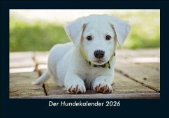 Cover Der Hundekalender 2026 Fotokalender DIN A5