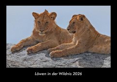 Cover Löwen in der Wildnis 2026 Fotokalender DIN A3