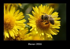 Cover Bienen 2026 Fotokalender DIN A3
