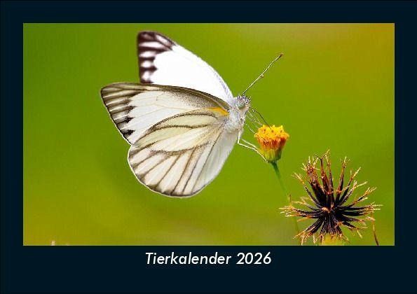 Tierkalender 2026 Fotokalender DIN A5 Tierkalender 2026 Fotokalender DIN A5