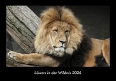 Löwen in der Wildnis 2026 Fotokalender DIN A3