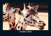 Giraffen 2026 Fotokalender DIN A5
