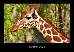 Cover Giraffen 2026 Fotokalender DIN A3