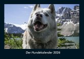 Der Hundekalender 2026 Fotokalender DIN A4