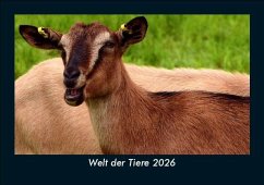 Cover Welt der Tiere 2026 Fotokalender DIN A5