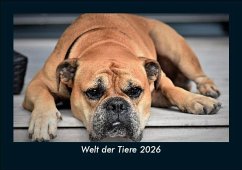 Cover Welt der Tiere 2026 Fotokalender DIN A5