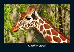 Cover Giraffen 2026 Fotokalender DIN A5