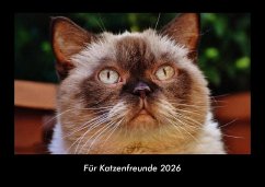 Cover Für Katzenfreunde 2026 Fotokalender DIN A3