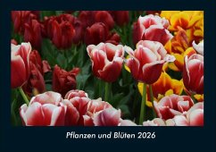 Cover Pflanzen und Blüten 2026 Fotokalender DIN A4