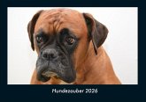 Hundezauber 2026 Fotokalender DIN A4