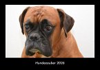 Hundezauber 2026 Fotokalender DIN A3