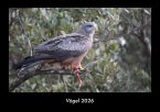 Vögel 2026 Fotokalender DIN A3