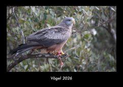 Cover Vögel 2026 Fotokalender DIN A3