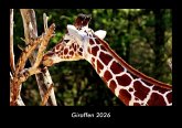 Giraffen 2026 Fotokalender DIN A3