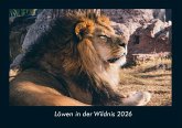 Löwen in der Wildnis 2026 Fotokalender DIN A4
