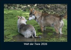 Welt der Tiere 2026 Fotokalender DIN A5 Cover Welt der Tiere 2026 Fotokalender DIN A5