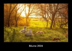 Cover Bäume 2026 Fotokalender DIN A3